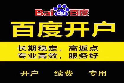 成功案例：专业SEM托管服务助力企业抢占行业制高点